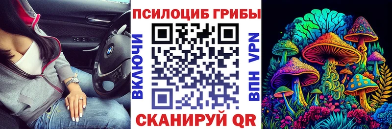 Псилоцибиновые грибы Cubensis  сколько стоит  Пойковский 